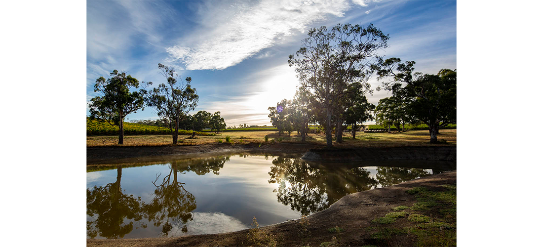 Lake at Helen's Hill winery